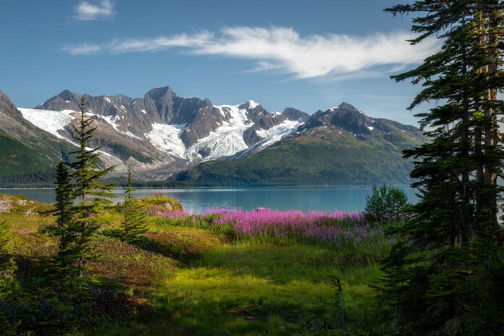 Fotoreise Alaska