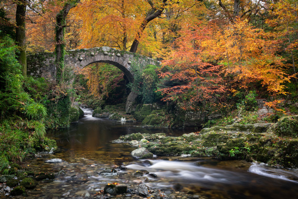 Fotoreise Wilder Herbst Irland