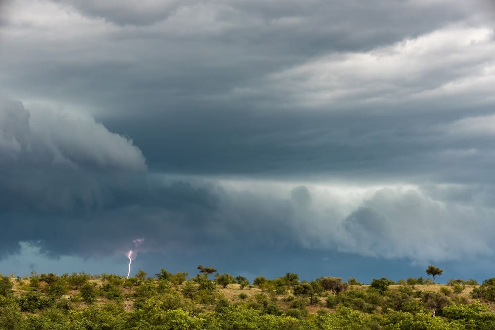 Reisebericht Botswana Regenzeit