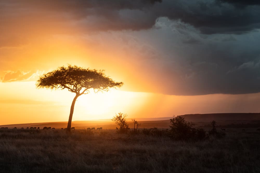 Fotoreise Kenia