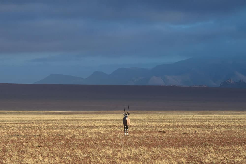 Fotoreise Namibia