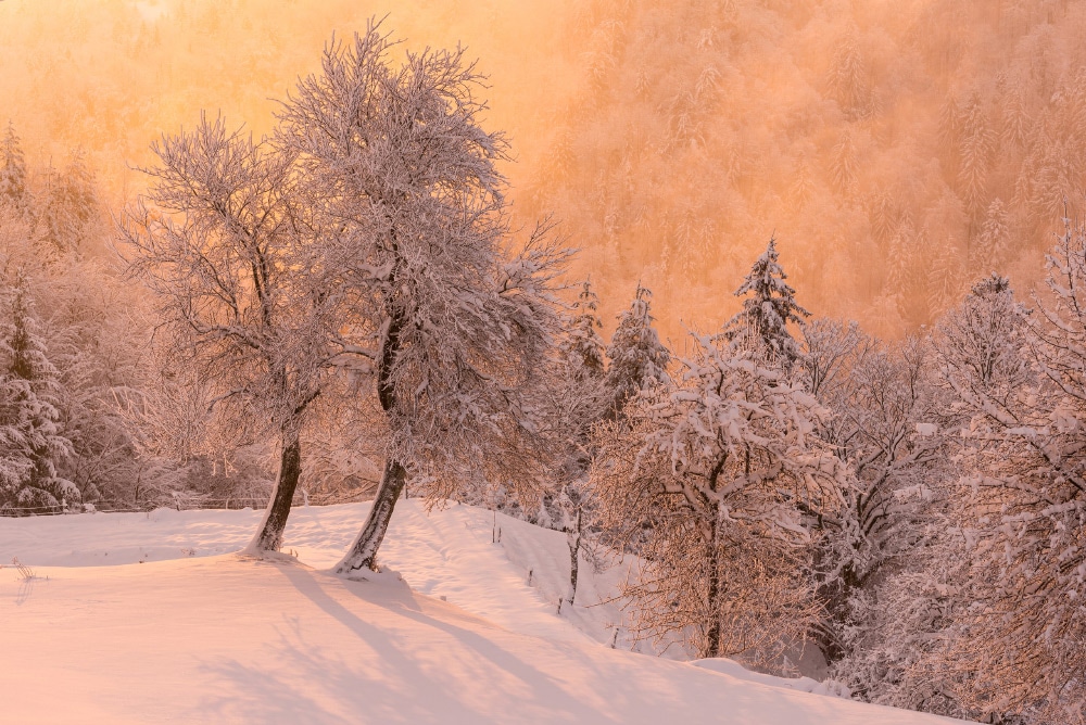 Fotoreise Slowenien Winter