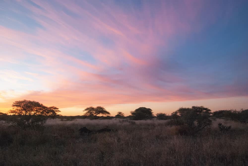 Fotoreise Botswana Desert & Delta