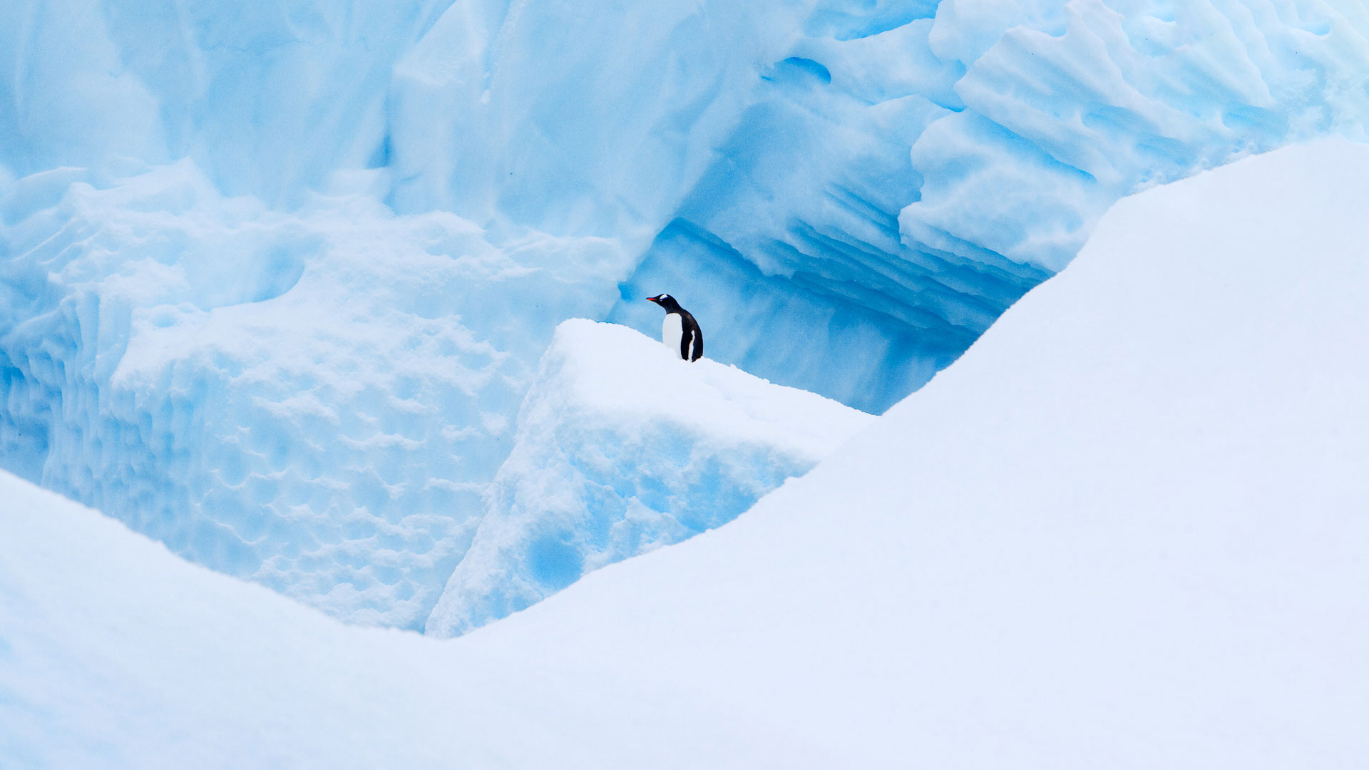 Fotoreise Antarktis